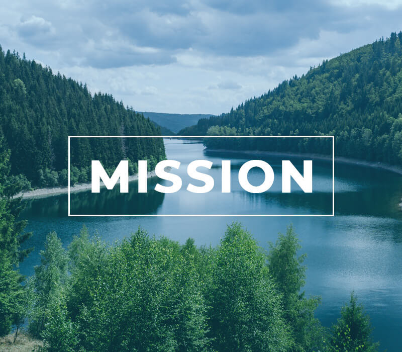 Ganesh Gouri Mission